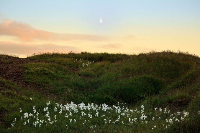 UNADJUSTEDNONRAW_thumb_197b